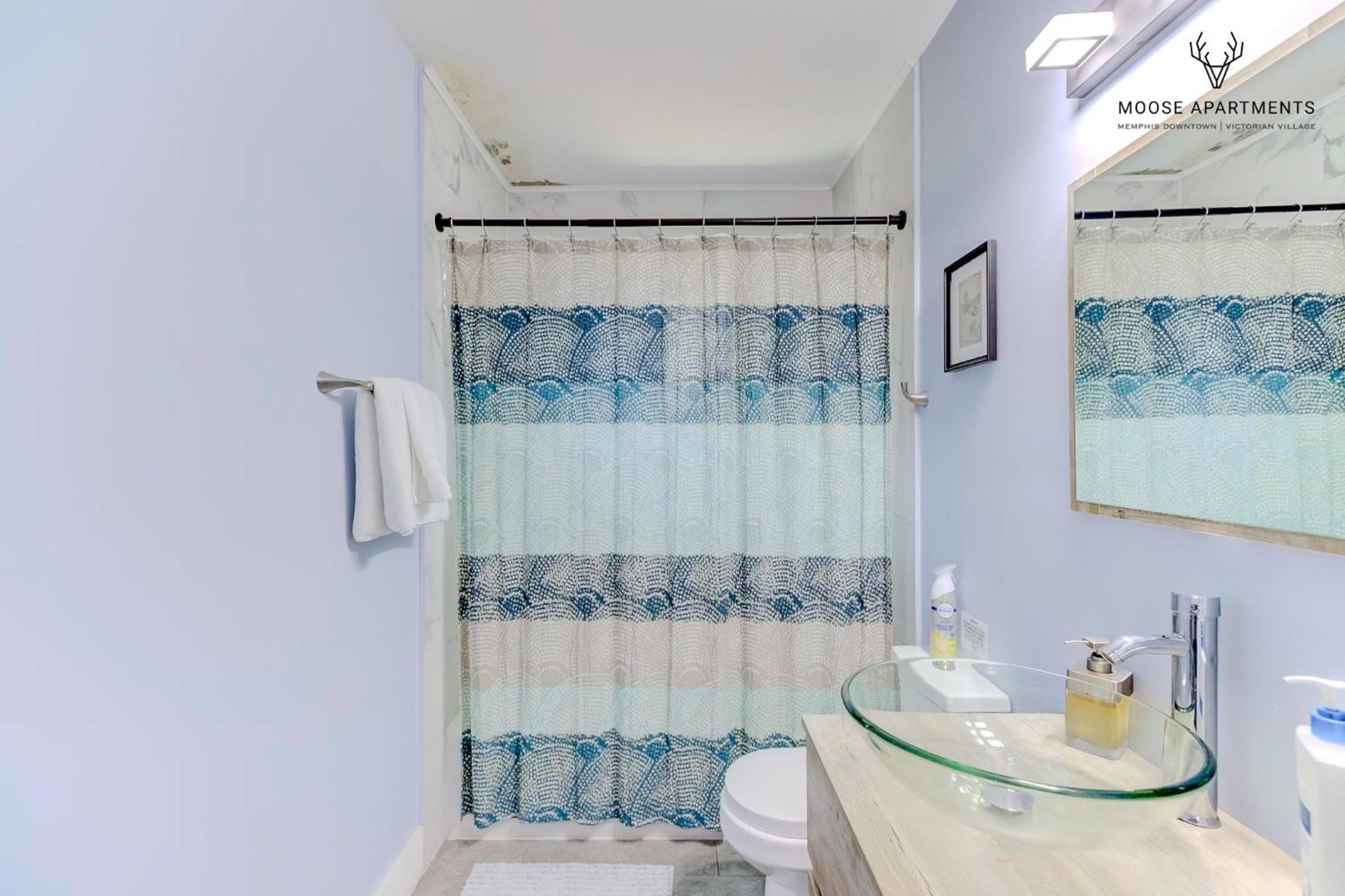 The Moose #3 - Modern Luxe Studio With Free Gated Parking & Wifi Memphis Dış mekan fotoğraf